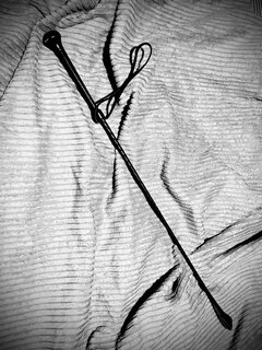 Z pamiętnika dominy.