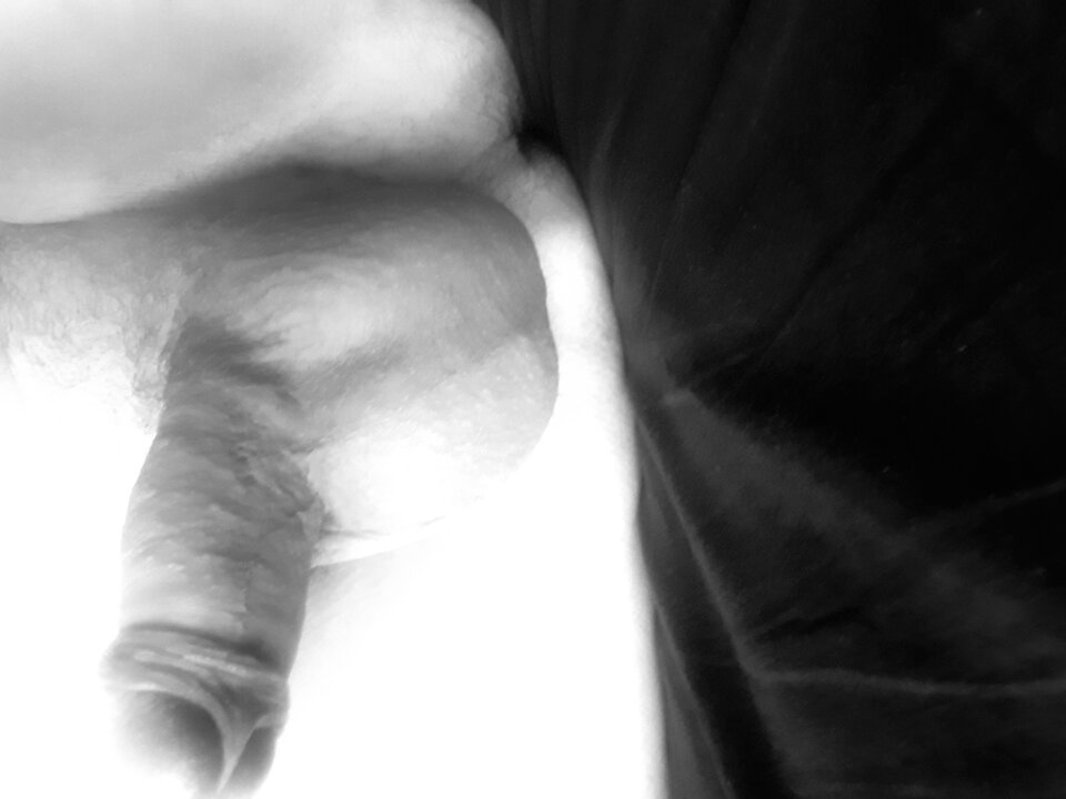 20200620_111947.jpg - dino8