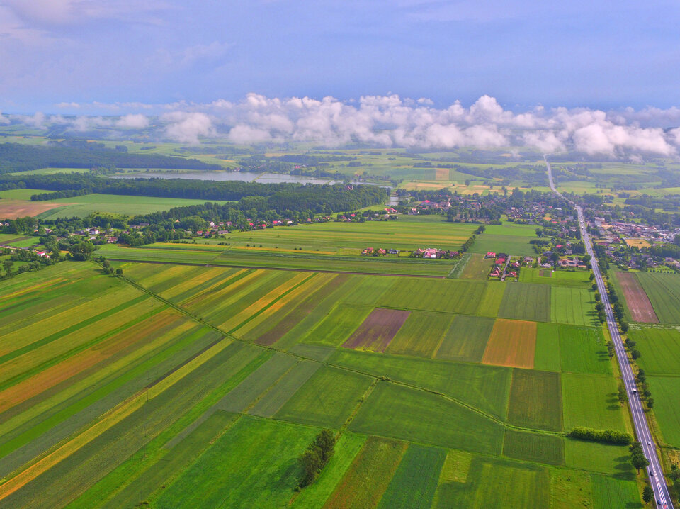 DJI_0752.jpg - FoKam431