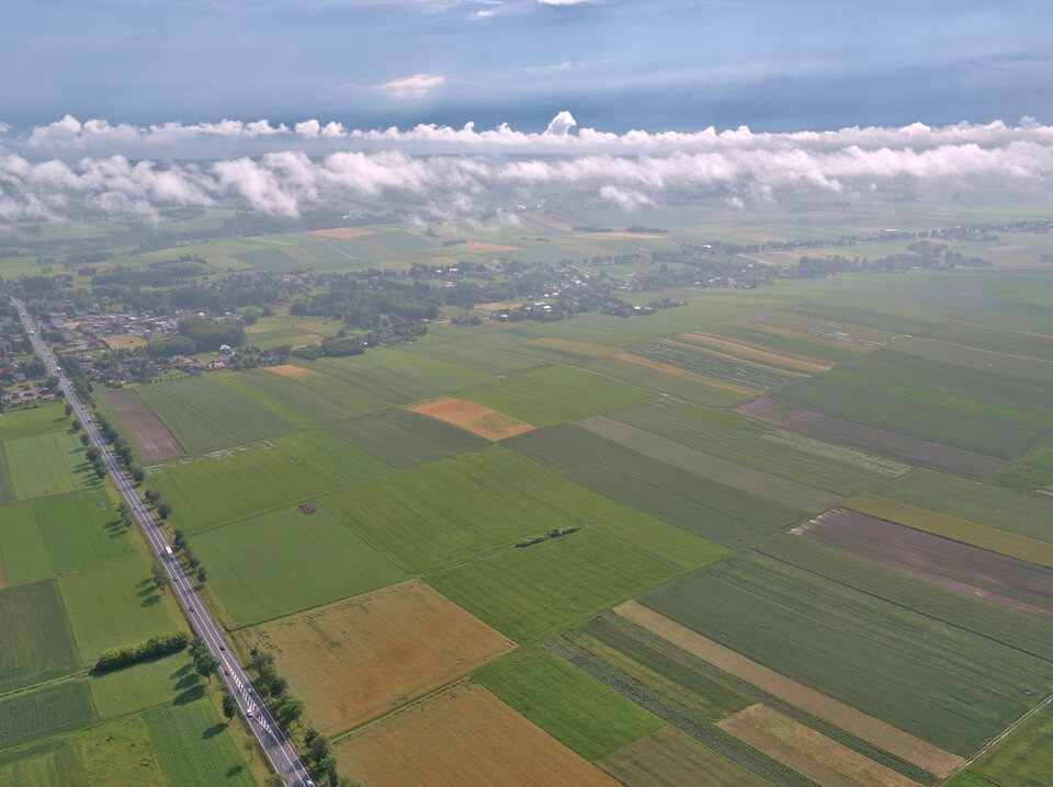 DJI_0791.jpg - FoKam431