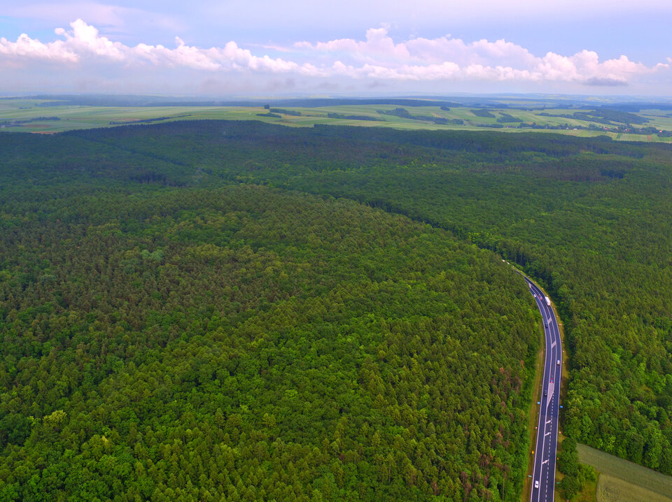 DJI_0746.jpg - FoKam431