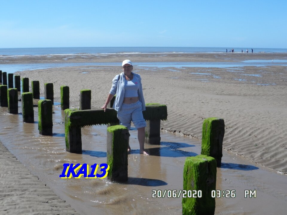 SAM_2733.JPG - ika13