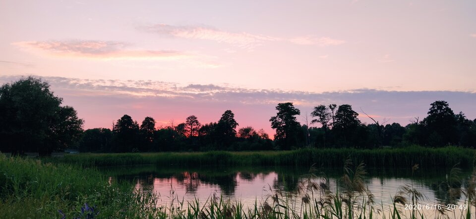 IMG_20200616_204947[1].jpg - FoKam431