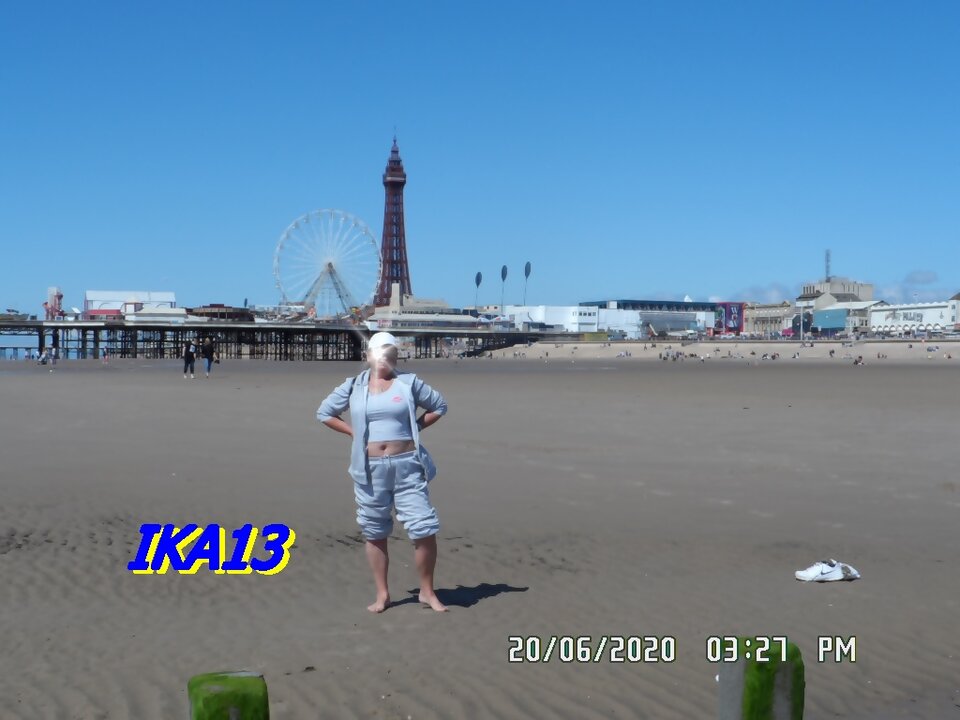 SAM_2735.JPG - ika13