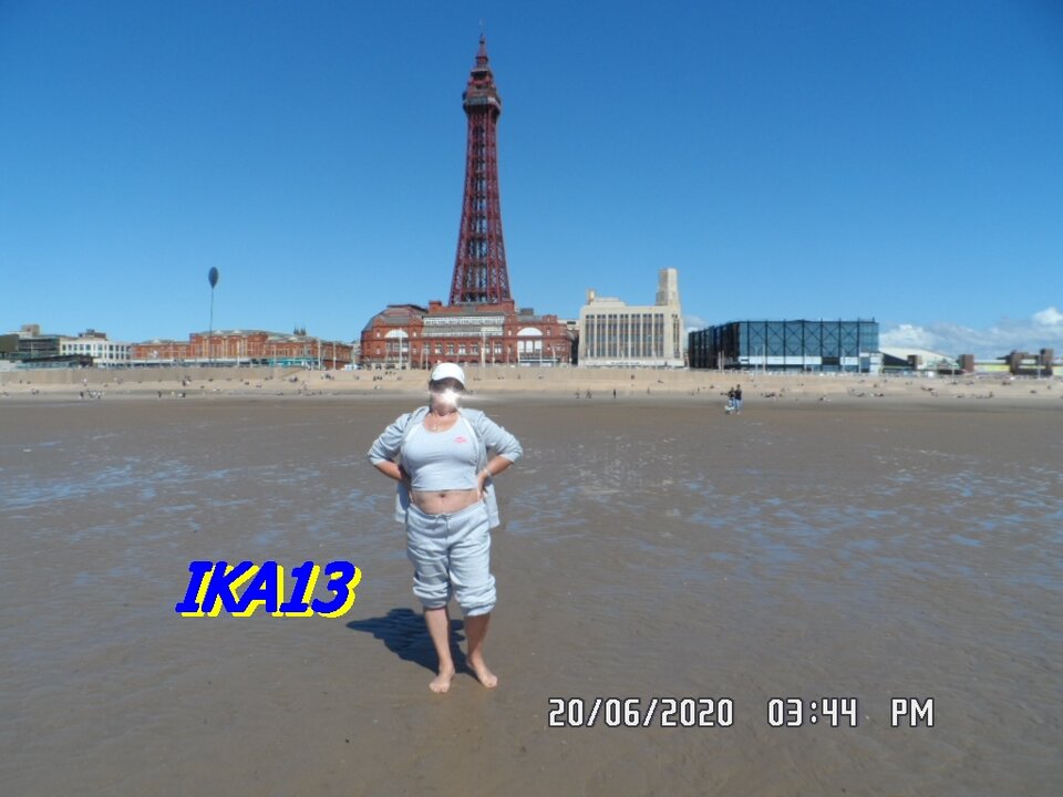 SAM_2736.JPG - ika13