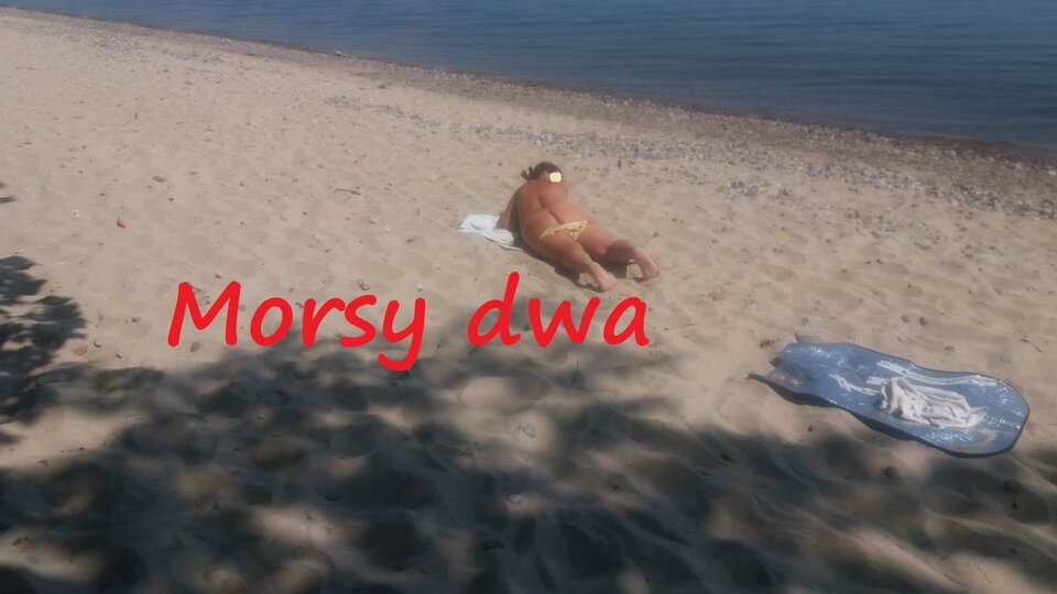 Oksywie. - Morsy_dwa