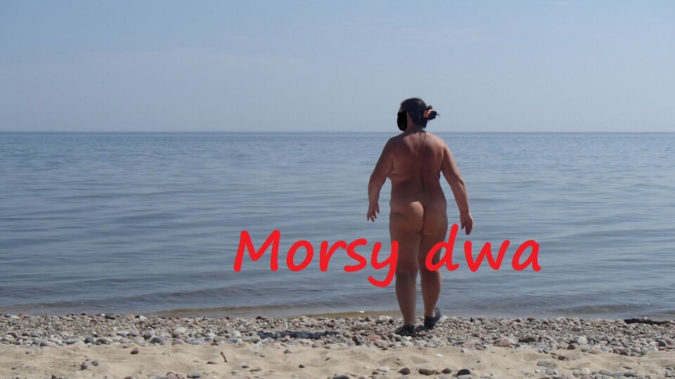 Oksywie. - Morsy_dwa