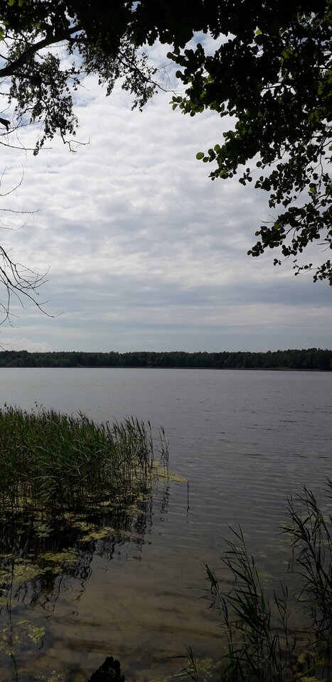 20200621_142633.jpg - xxBaroccoxx