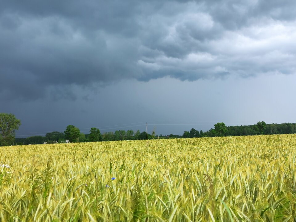 Czarne chmury nad Polską.... - Arrou