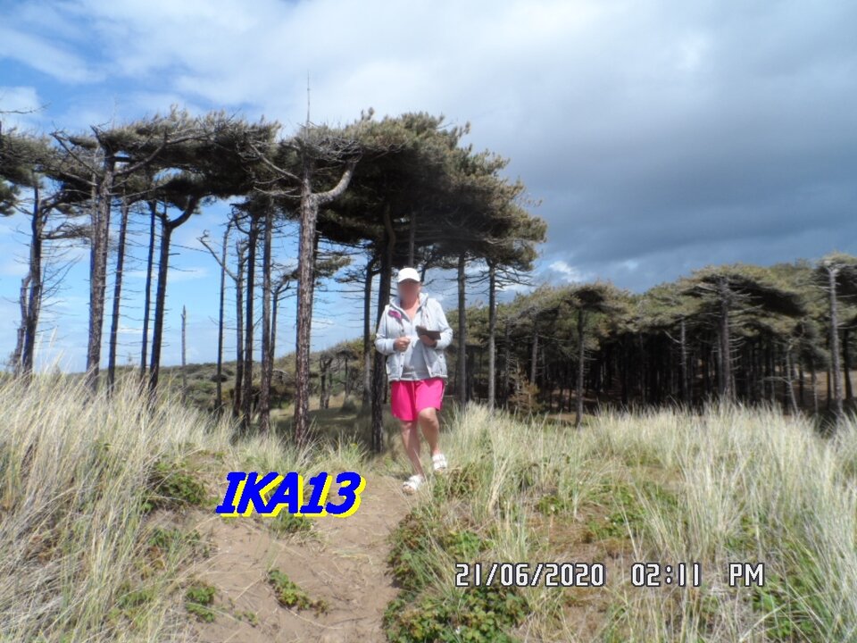 SAM_2737.JPG - ika13
