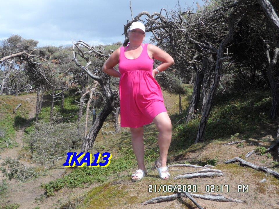 SAM_2739.JPG - ika13