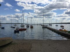 żaglówki w porcie.