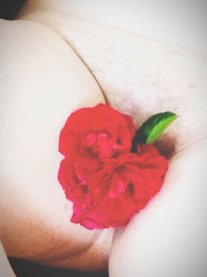 received_973458989752935.jpeg - greg375