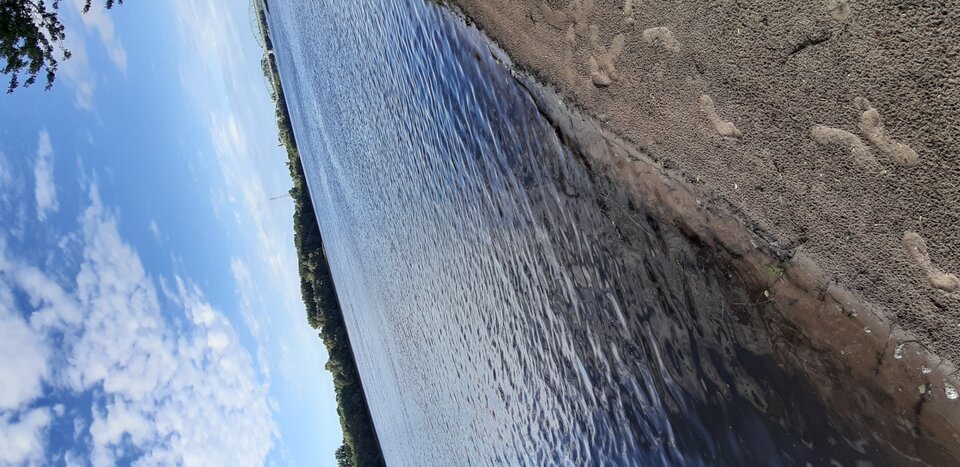 20200622_180033.jpg - Pablo_93