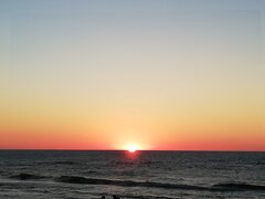 IMG_20200614_213259.jpg