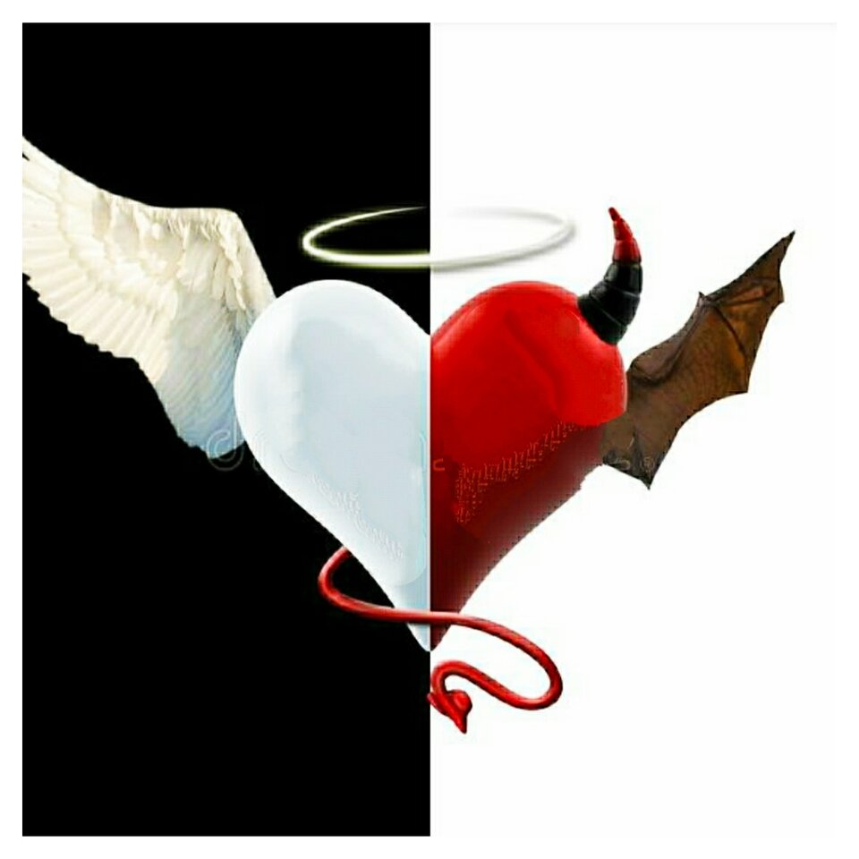 IMG_20200608_224553.jpg - Lazir