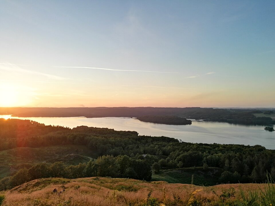 IMG_20200623_215445.jpg - ricochet