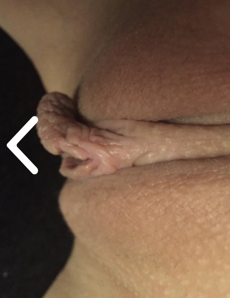 1798A571-8086-4E39-A725-E1FBB8329EC1.jpeg - Hamilton73