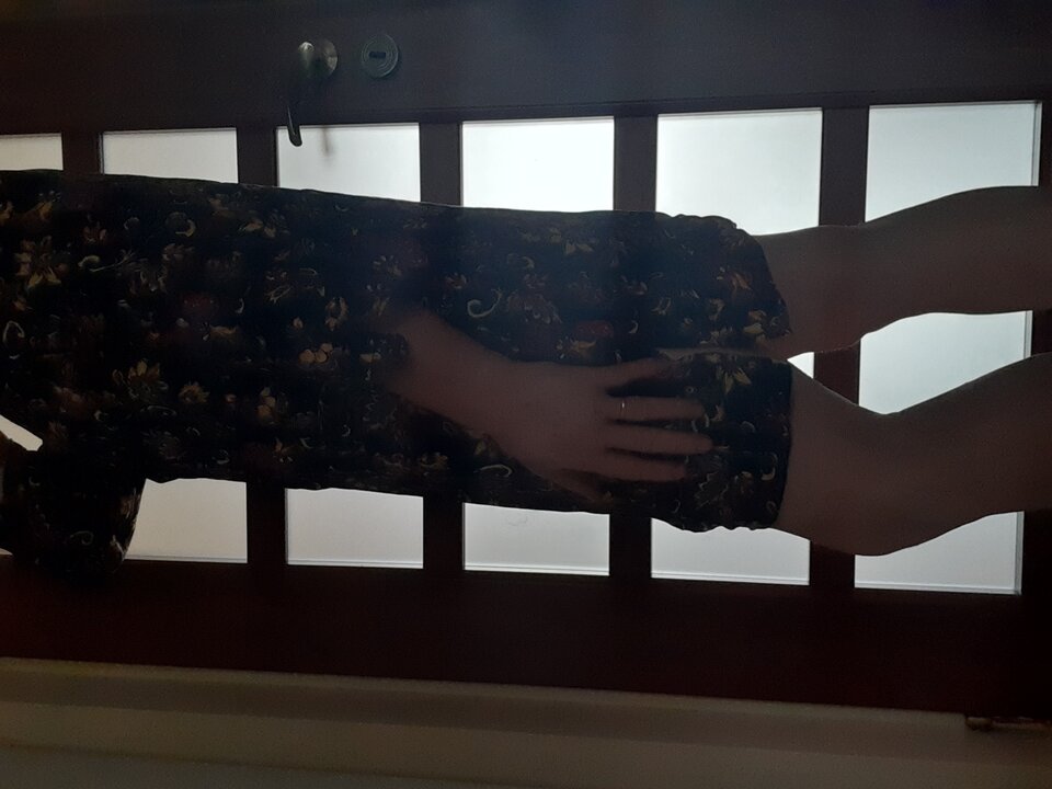 15930616991526809492573123259077.jpg - Palciusia