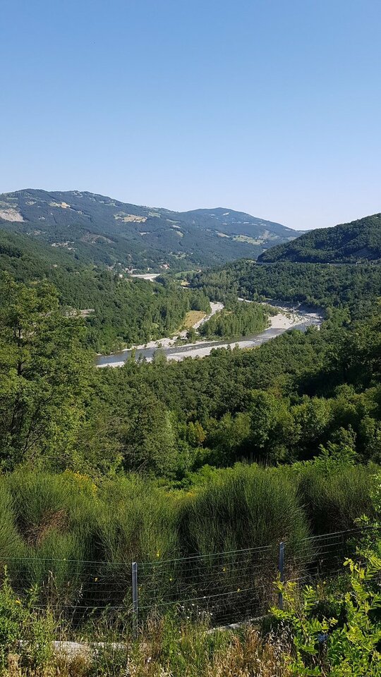 EbQvp5NWsAA3lFo.jpg - CCC76