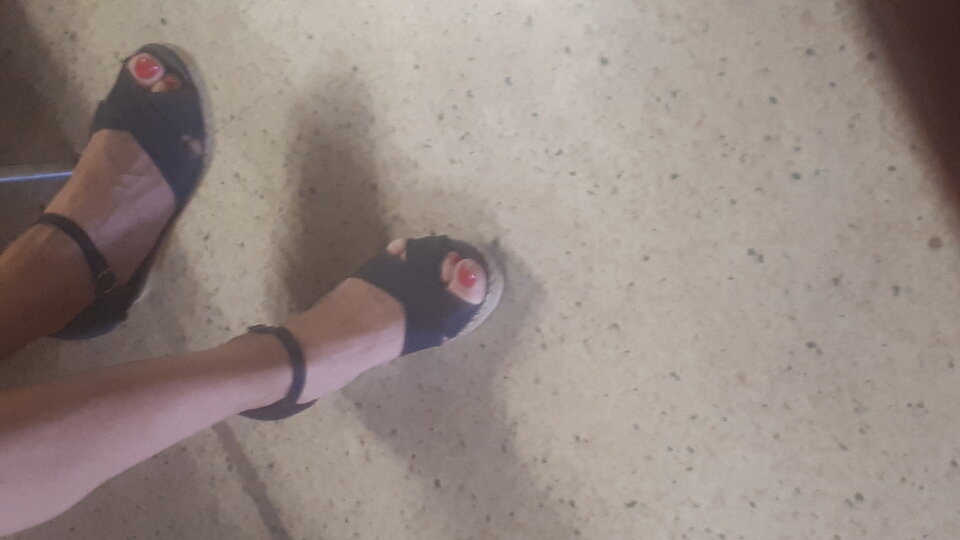 20200625_090409.jpg - Transpola