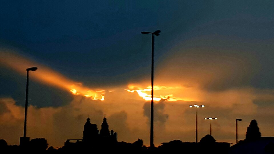 20200625_083026.jpg - Tabas0