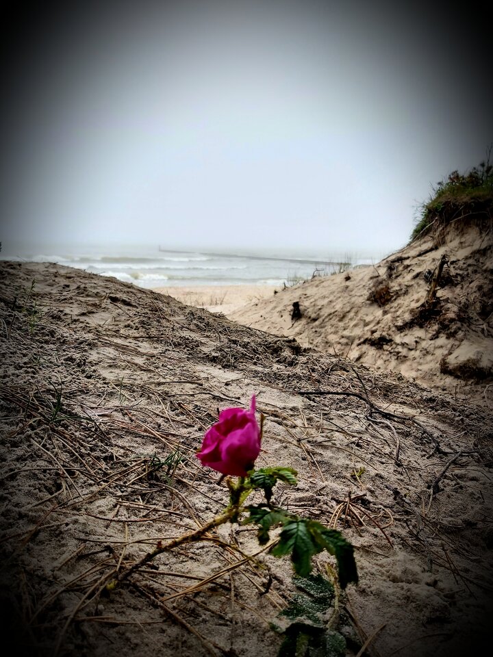 Samotna ... - para_kochankow