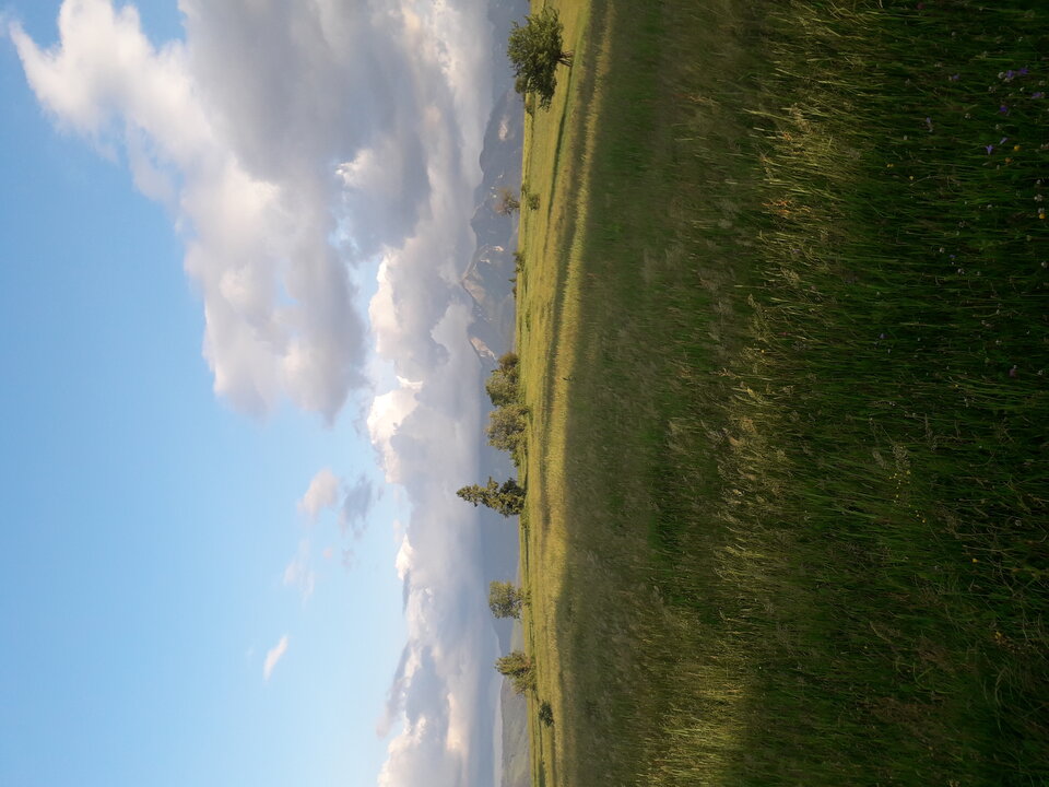 15931072002555581381122130837857.jpg - tropiciel123