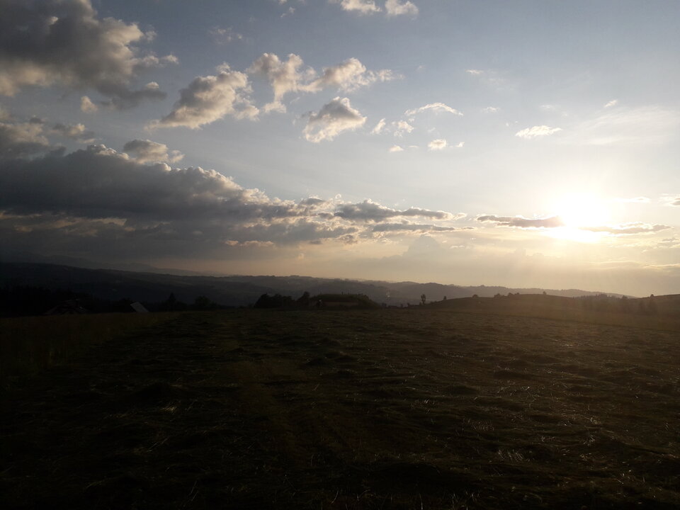 20200625_195505.jpg - tropiciel123