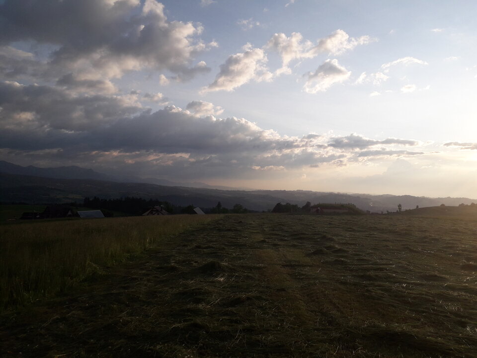 20200625_195500.jpg - tropiciel123