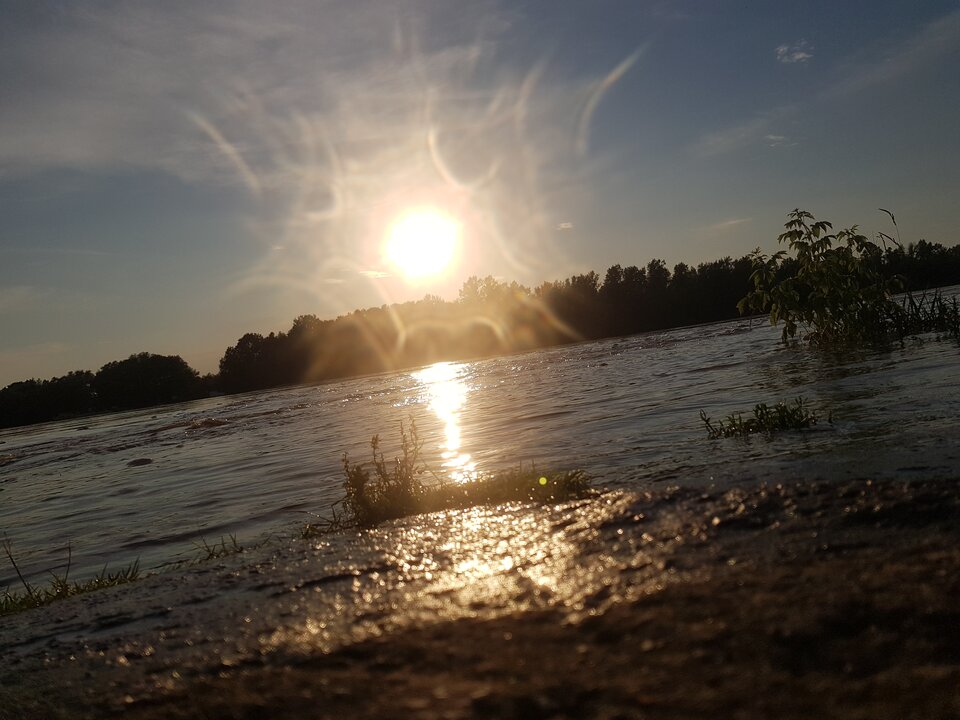 20200625_194156.jpg - glysy