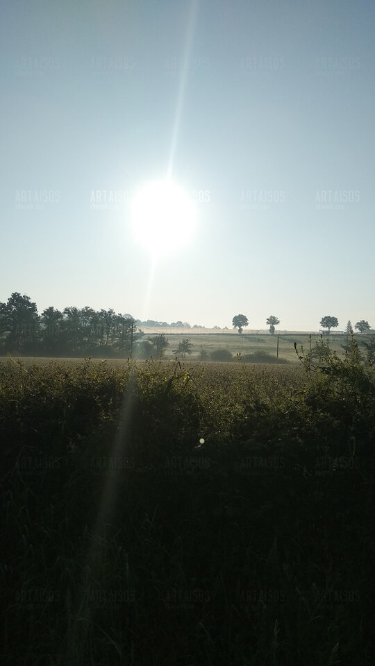 Poranek.jpg - Artaisos