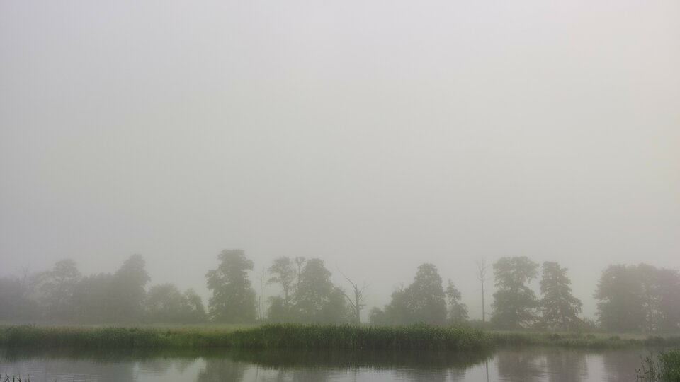 IMG_20200618_060703.jpg - FoKam431