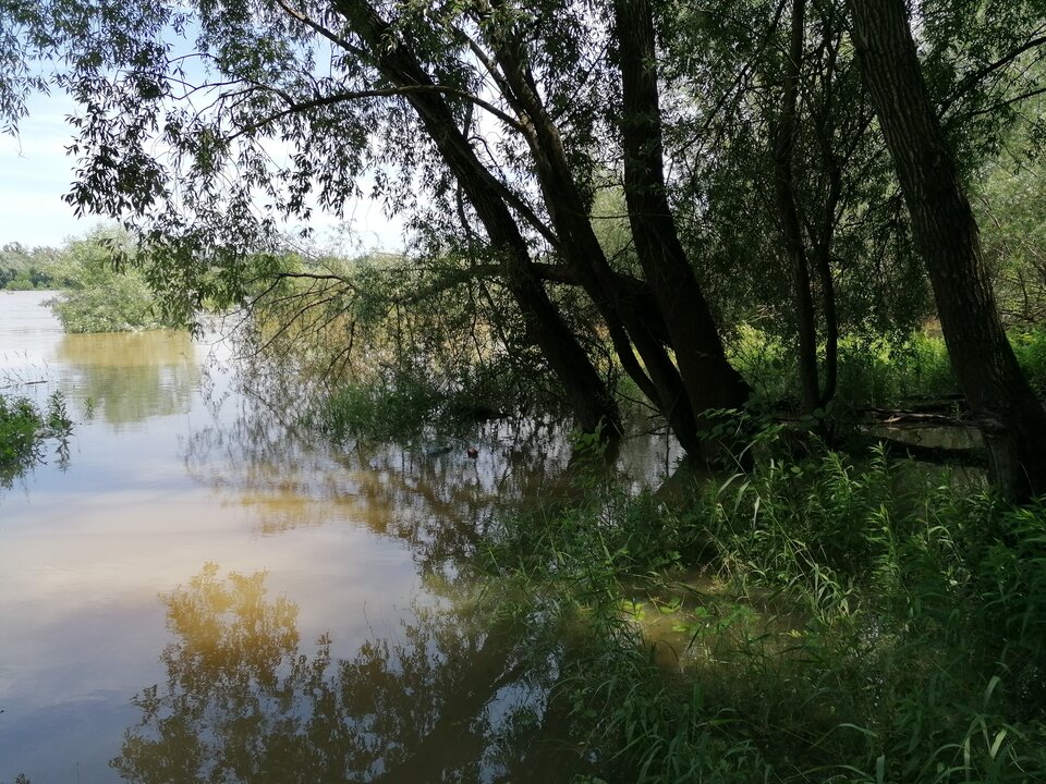 Zawadoedki2. jpg - yihai