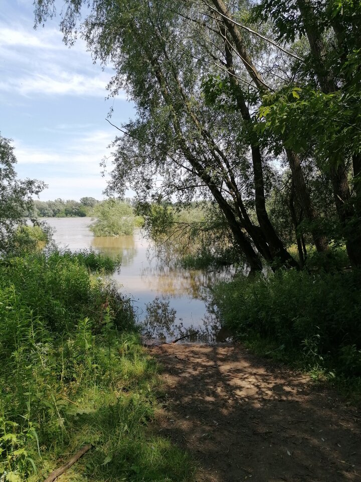 Zawadowski1.jpg - yihai