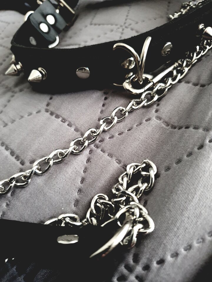 20200626_180252.jpg - Sunia_trans_Agunia