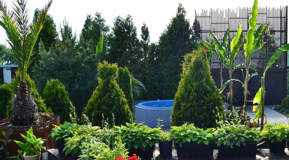 Ogrodowe jacuzzi. - jacuzzi