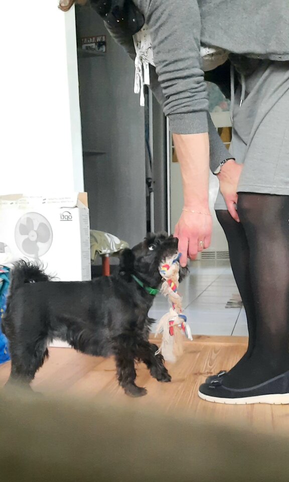 20200627_013949.jpg - PaulinCiaa