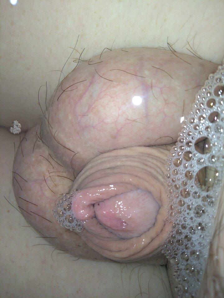 15932340245625174326775075184821.jpg - matuzalem000