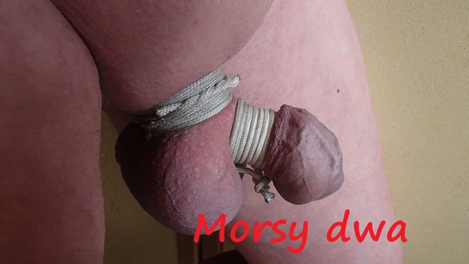 Zbiornik 1195 - Morsy_dwa