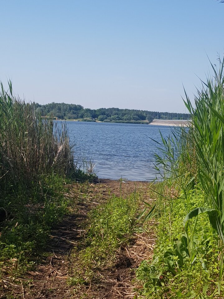 20200628_091049.jpg - Puszysta197676