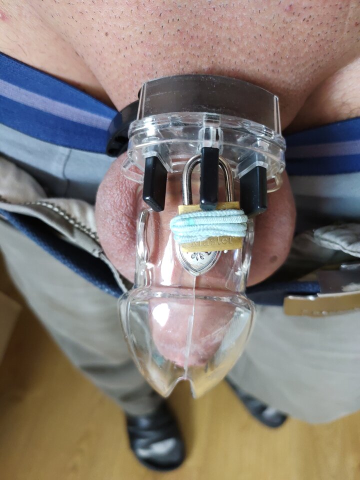 15934431025778497729032721339499.jpg - widzget