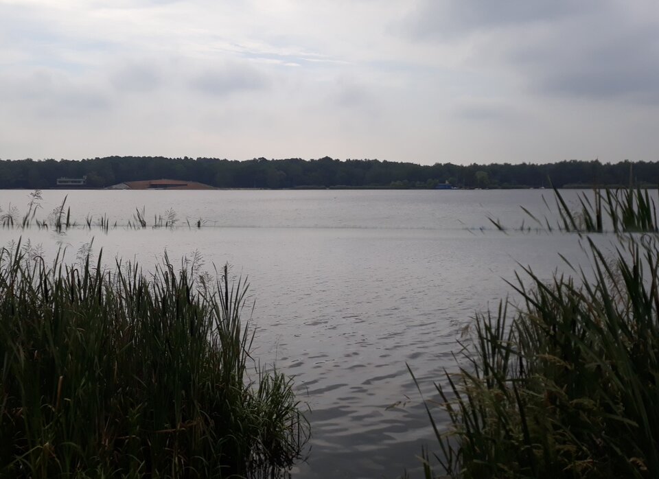 20200629_091714.jpg - Ambrozja2