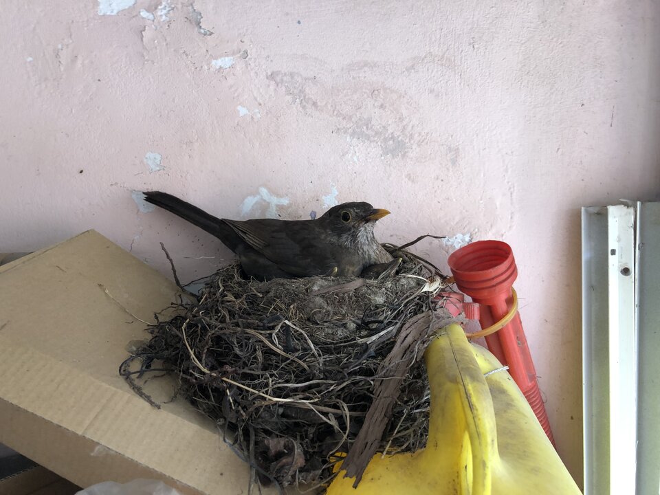 E02FC3A1-9364-4BD7-A417-E3BDA18F8F1D.jpeg - nrw670n