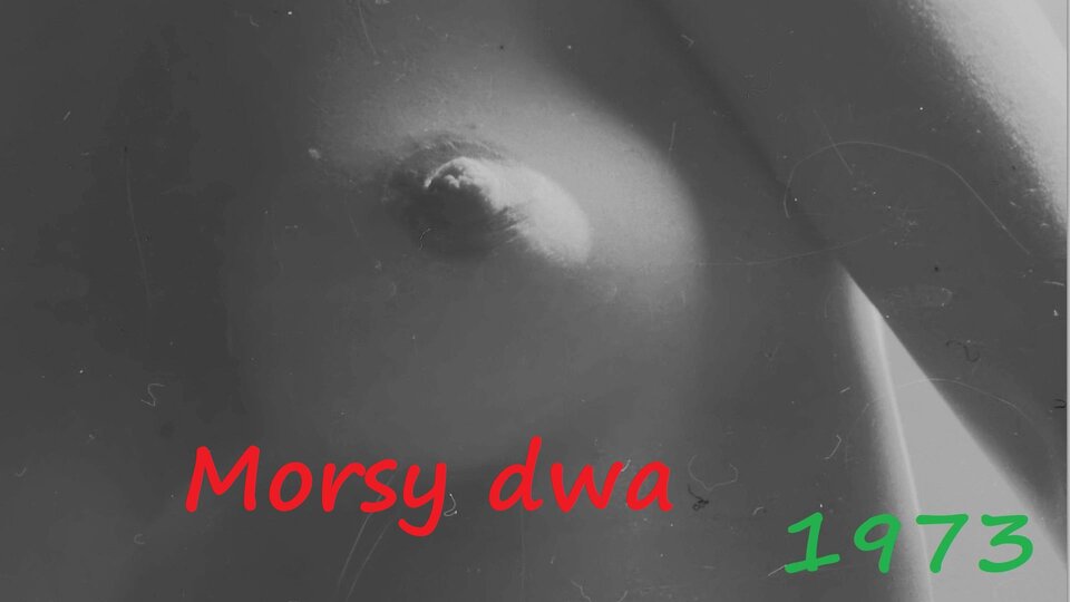 Wsppomnienia. - Morsy_dwa