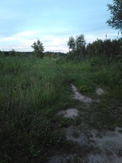 IMG_20200702_204043.jpg