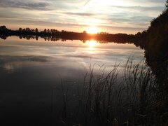 IMG_20200702_204311.jpg