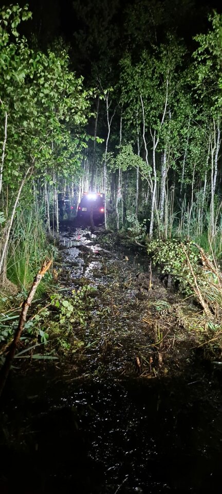 IMG-20200627-WA0003.jpg - nk_fallen