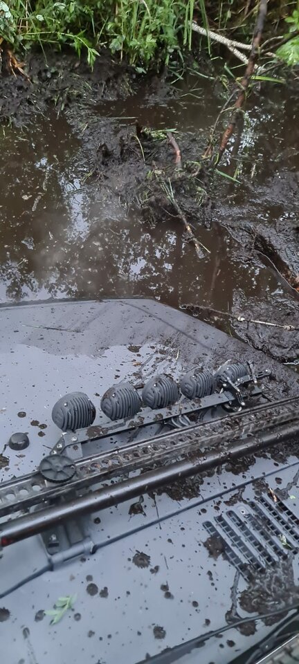 IMG-20200627-WA0007.jpg - nk_fallen