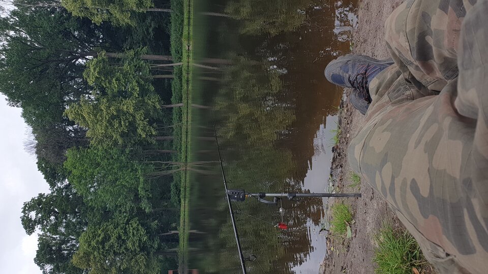 15937707930742985350556200416553.jpg - prokop